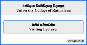 Visiting Lecturer - University College Ratmalana Vacancies 2025