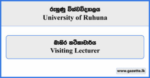 Visiting Lecturer - University of Ruhuna Vacancies 2024