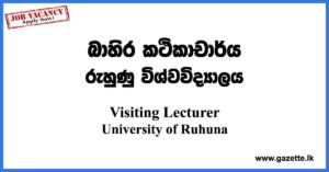 Visiting Lecturer in Economics - University of Ruhuna Vacancies 2023