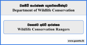 Wildlife Conservation Rangers - Department of Wildlife Conservation Vacancies 2025