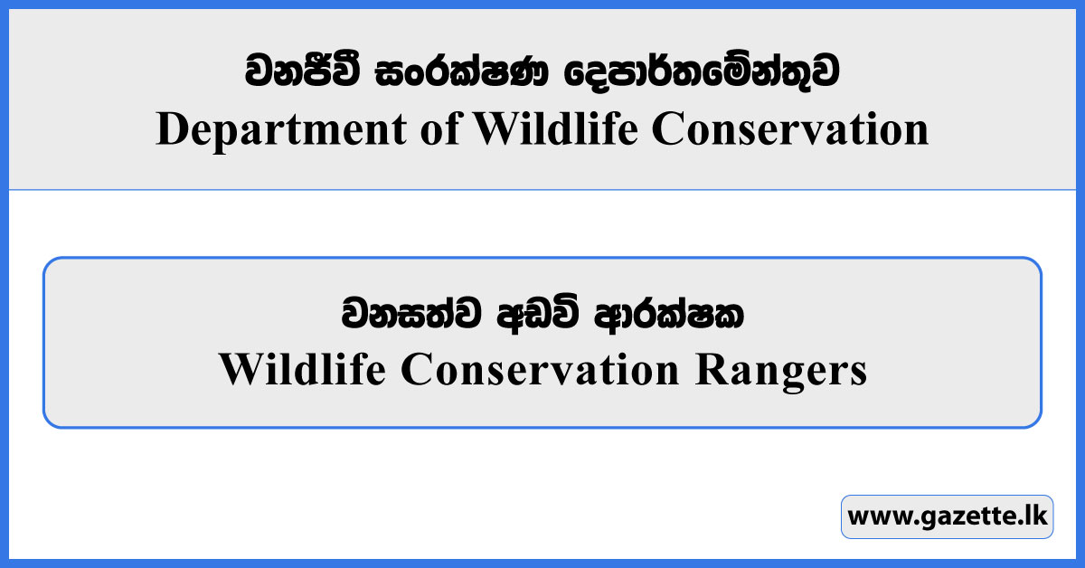 Wildlife Conservation Rangers - Department of Wildlife Conservation Vacancies 2025