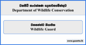 Wildlife Guard - Department of Wildlife Conservation Vacancies 2025