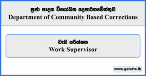 Work Supervisor - Department of Community Based Corrections Vacancies 2025