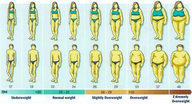 bmi scale