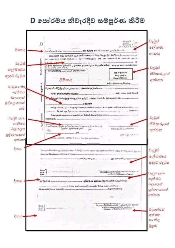 d-form-filling-guide