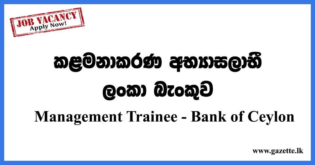 Management Trainee BOC