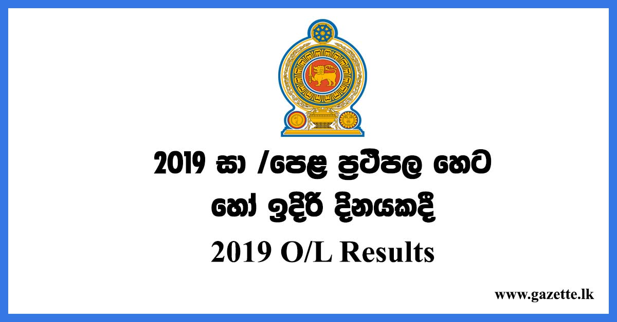 ol-exam-results-2019