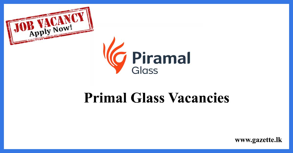 primal-glass-vacancies