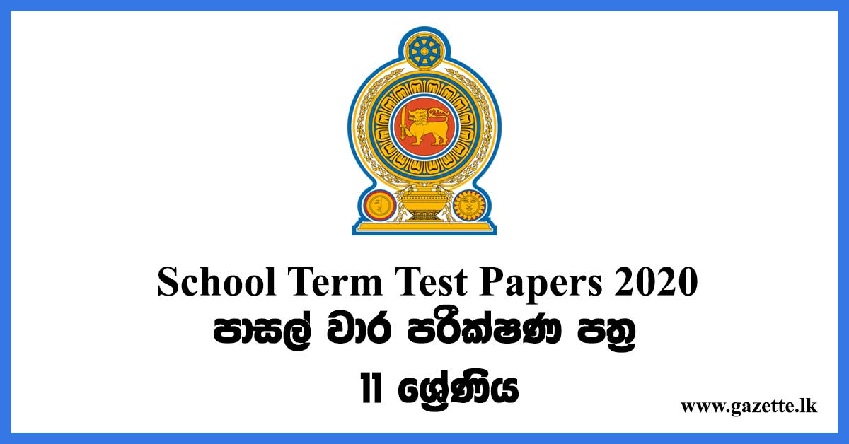 School Term test Papers (2020) Grade 11 - With Answers